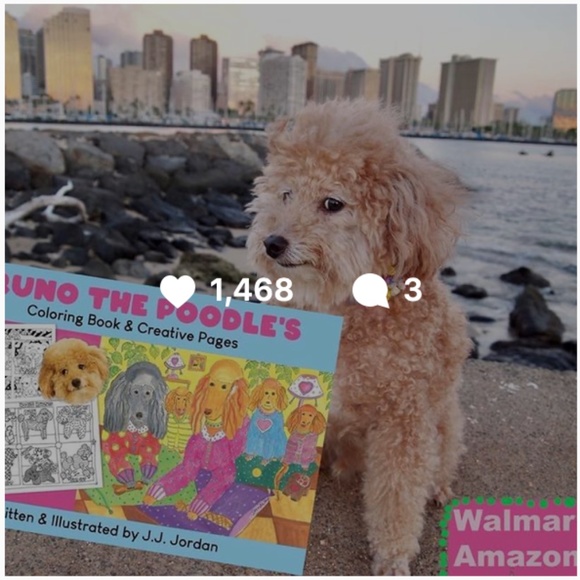 Bruno Loves Shopping & Sharing his wonderful finds - Picture 3 of 3